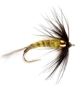 Modishnook.shop0170b0ed28 1