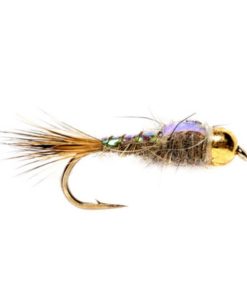 Modishnook.shop019a88dd39 1