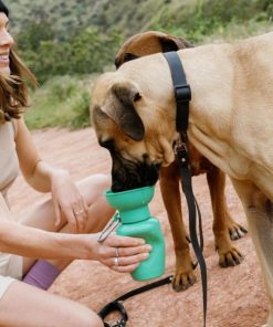 Modishnook.shop086af4764f 3