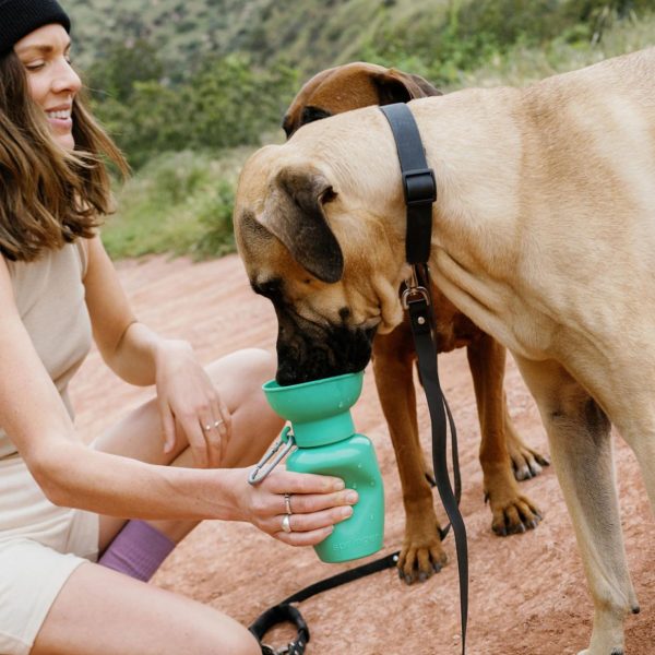 Modishnook.shop086af4764f 3