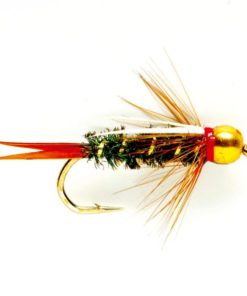 Modishnook.shop08dcbb6d86 1