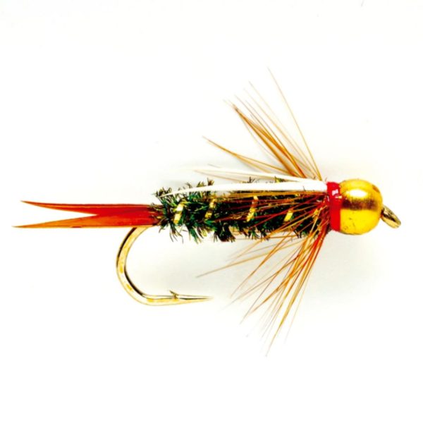 Modishnook.shop08dcbb6d86 1