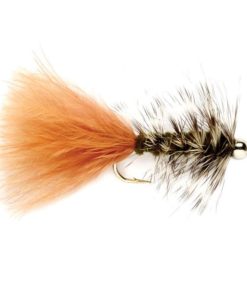 Modishnook.shop09548b5196 1