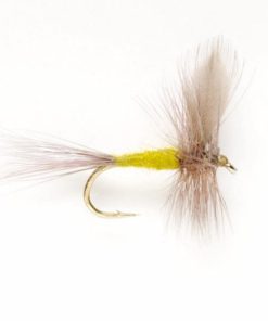 Modishnook.shop0a450e732b 1