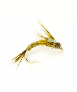 Modishnook.shop0acd32cad1 1