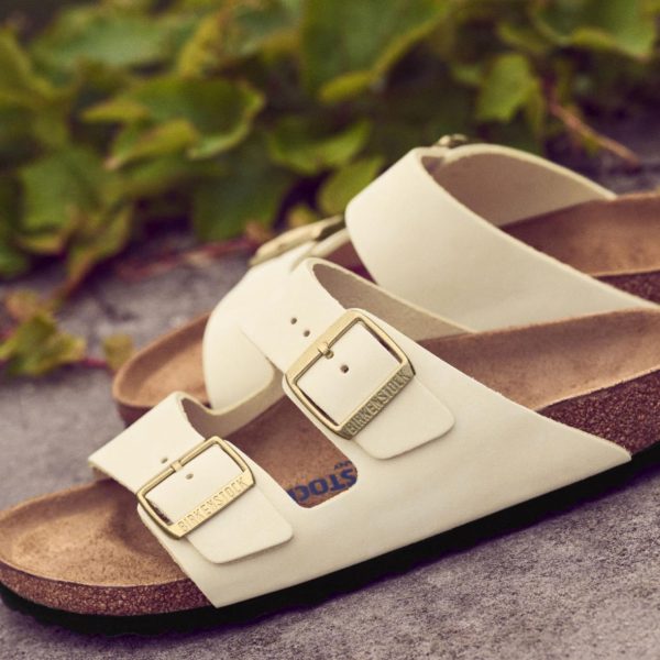 Modishnook.shop0b403f26cb 2