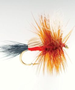 Modishnook.shop105d2b2168 1