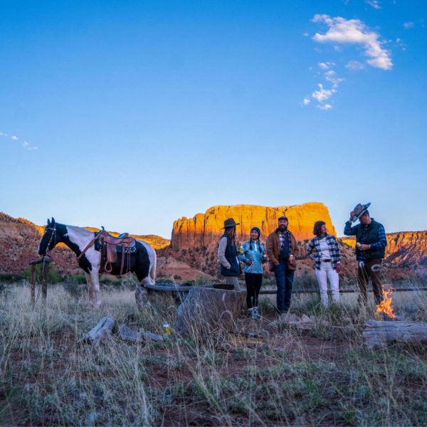 Modishnook.shop11025a01cd 4