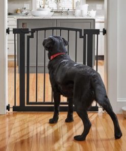 Modishnook.shop116ceceed6 1