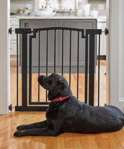 Modishnook.shop116ceceed6 2