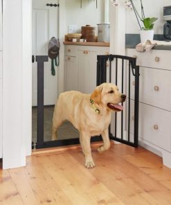 Modishnook.shop116ceceed6 3