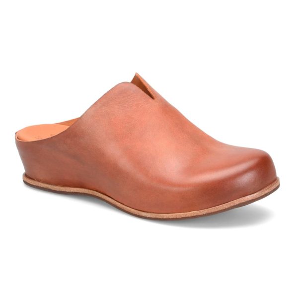 Modishnook.shop14f28c9629 1