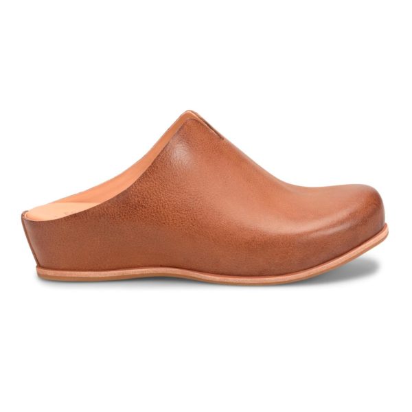 Modishnook.shop14f28c9629 2