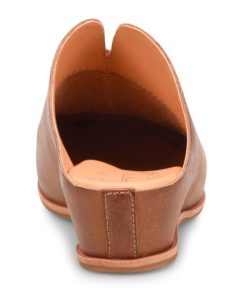 Modishnook.shop14f28c9629 4