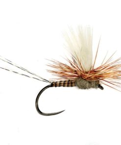 Modishnook.shop16431fa779 1