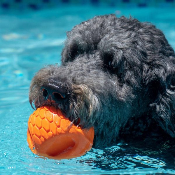 Modishnook.shop18a999d8bb 2