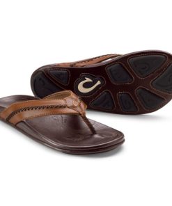 Modishnook.shop19f8dc3a1c 1