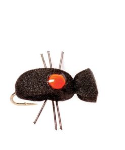 Modishnook.shop1a5aafce5f 1