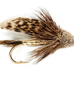 Modishnook.shop1b34e67b75 1