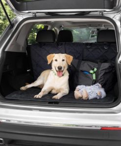 Modishnook.shop1b5342ca71 4