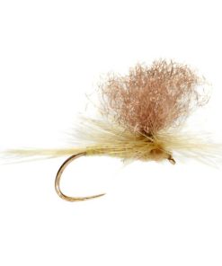 Modishnook.shop20afff5c4e 1