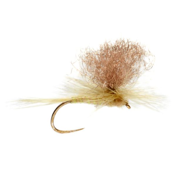 Modishnook.shop20afff5c4e 1