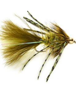 Modishnook.shop272bf51c60 1