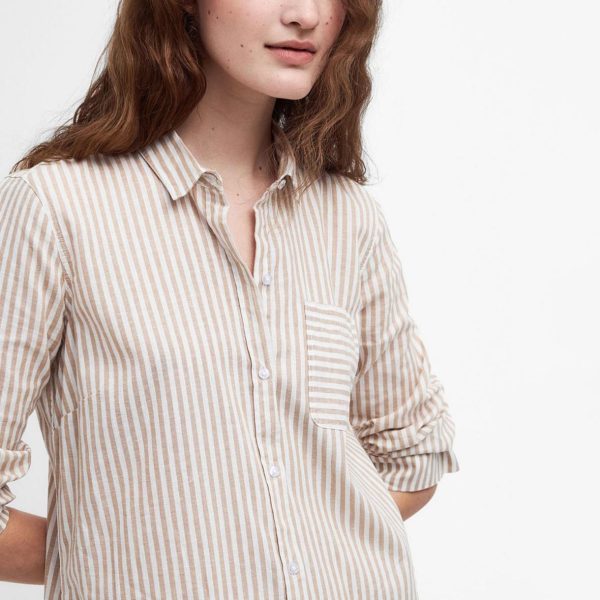 Modishnook.shop28f6b7e57f 3