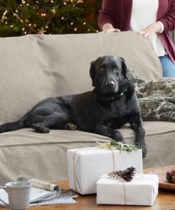 Modishnook.shop2921e59071 2