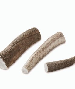 Modishnook.shop2979e8ed89 1