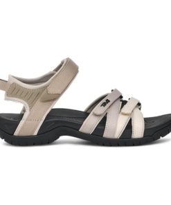 Modishnook.shop3632bae6f8 1