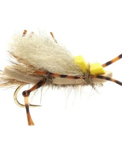 Modishnook.shop3871438093 1