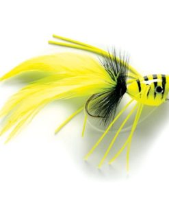 Modishnook.shop38742b2312 1