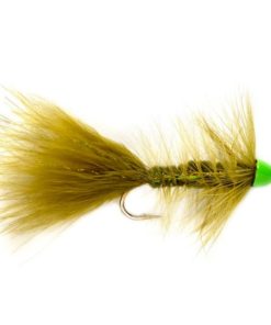 Modishnook.shop38eb8f03ee 1