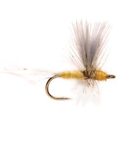 Modishnook.shop395907b7bd 1