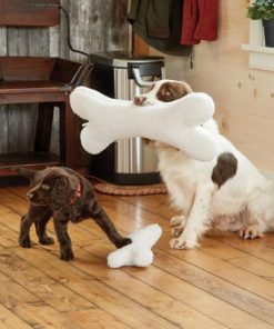 Modishnook.shop39e9c6f757 2