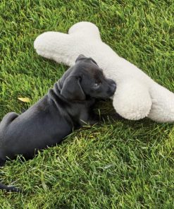 Modishnook.shop39e9c6f757 3