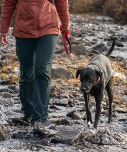 Modishnook.shop3a01d4379b 4