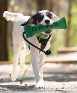 Modishnook.shop3b39c79cce 2