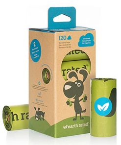 Modishnook.shop3cd0e2b166 1