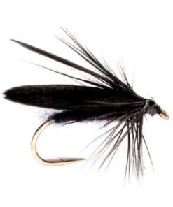 Modishnook.shop3f00fe8a78 1