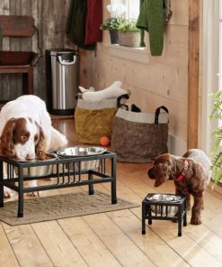 Modishnook.shop40149c6d23 1