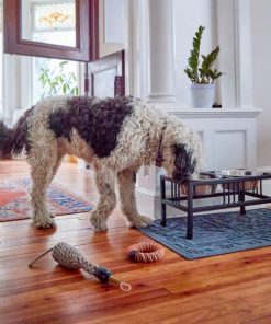 Modishnook.shop40149c6d23 2