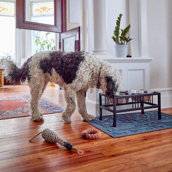 Modishnook.shop40149c6d23 2