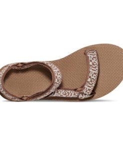 Modishnook.shop46e5ff858d 5