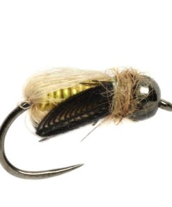 Modishnook.shop48cb24edd9 1