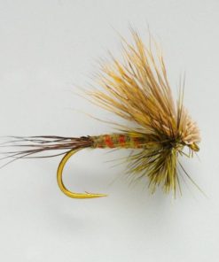 Modishnook.shop4951eb8e49 1