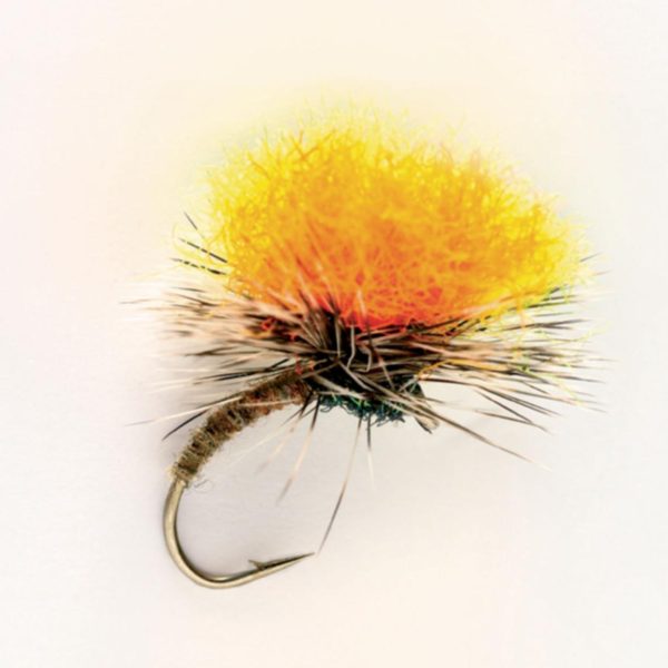 Modishnook.shop4c136e646d 1