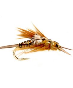 Modishnook.shop5003a6284e 1