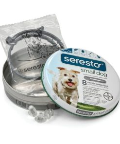 Modishnook.shop52a97dfac4 1